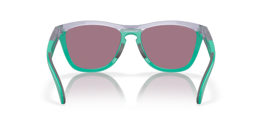 2026 New Arrival OO9284 - Frogskins Range