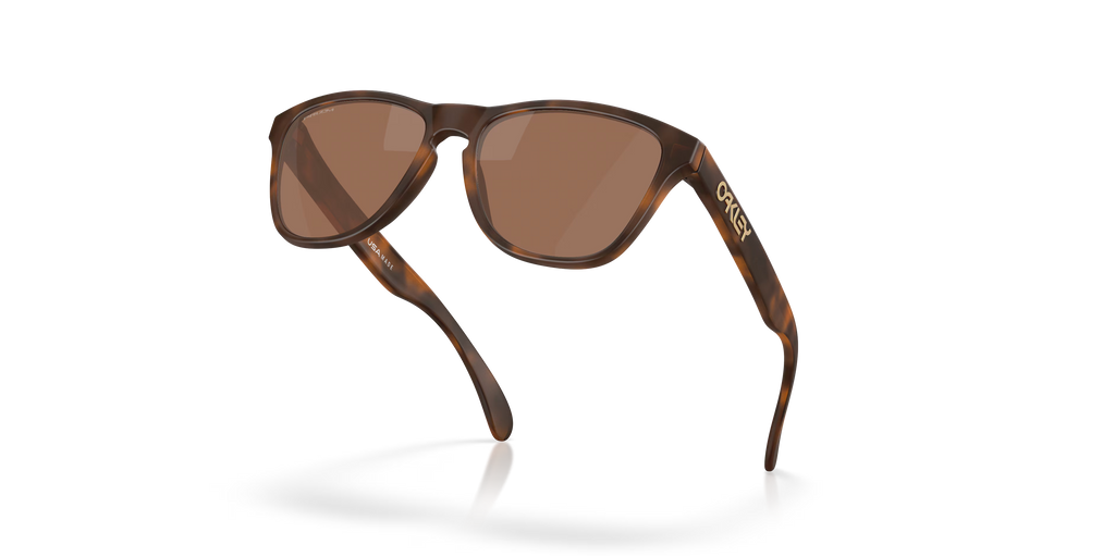 2026 New Arrival OO9508 - Frogskins S