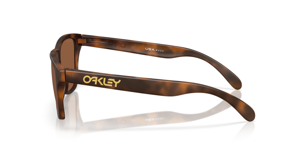 2026 New Arrival OO9508 - Frogskins S