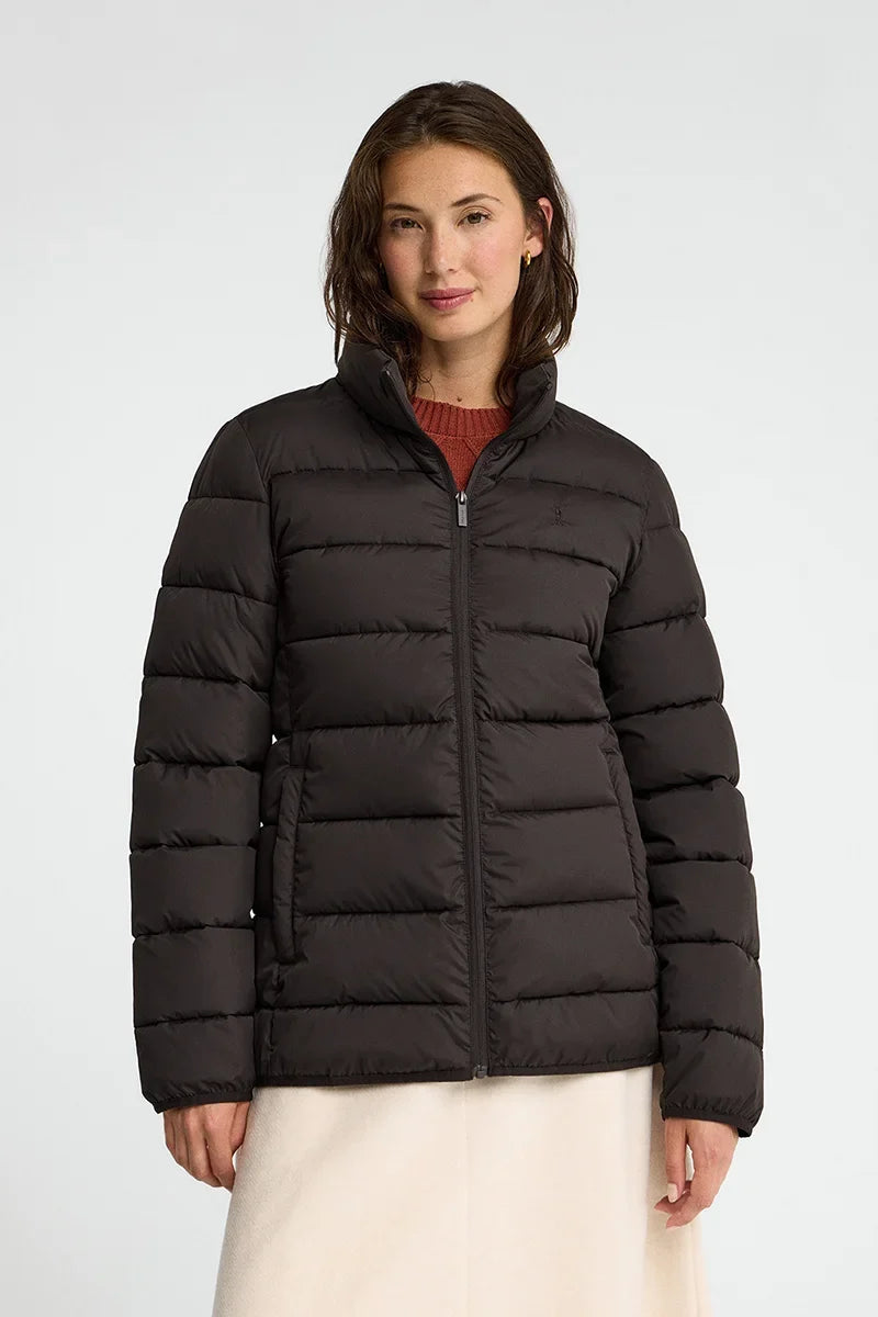 2026 New Arrival Dark-chocolate ultralight jacket Polo Club Brunel
