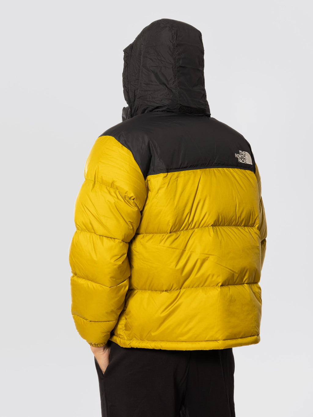 Giacca Retro Nuptse in Tessuto Ripstop Lucido Senape