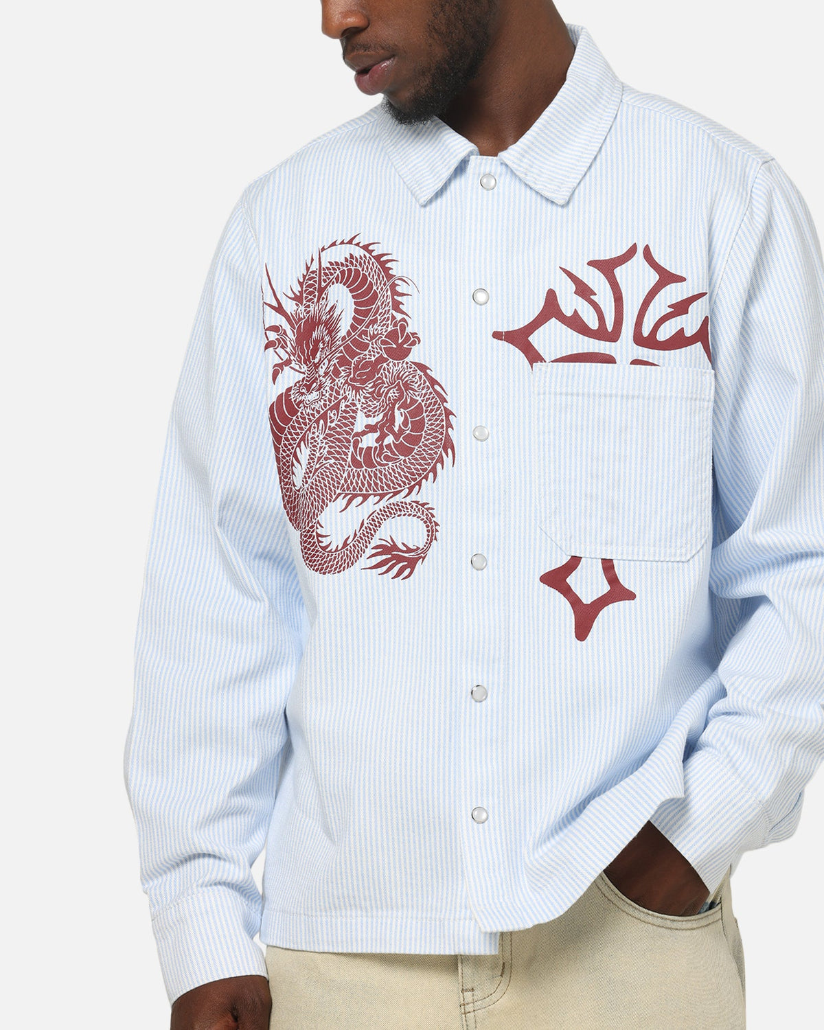 New Products Ed Hardy Euro Button Up Shirt Blue Pinstripe
