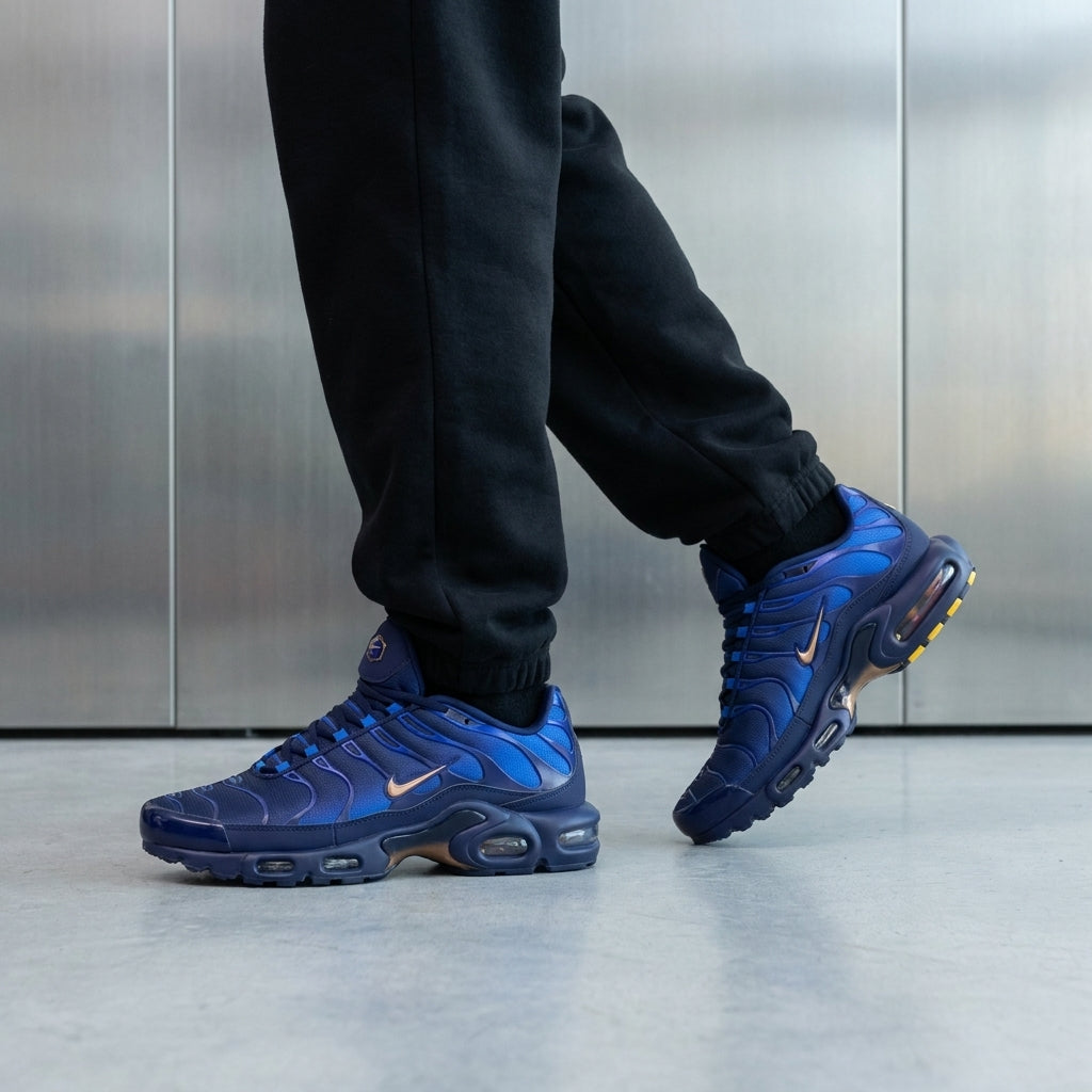 Nike TN Air Max Plus 'French Football Federation'