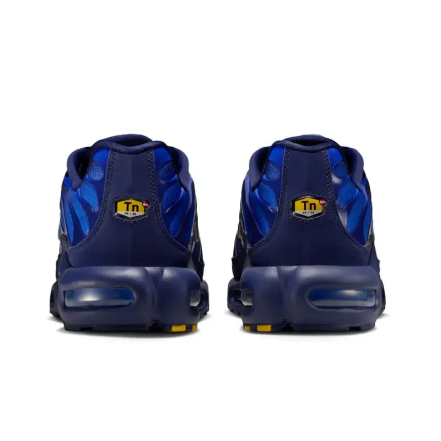 Nike TN Air Max Plus 'French Football Federation'