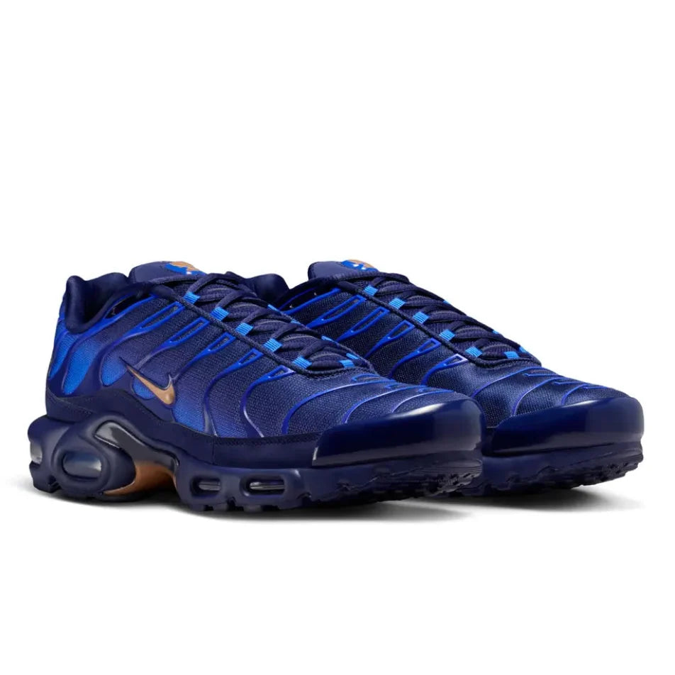 Nike TN Air Max Plus 'French Football Federation'