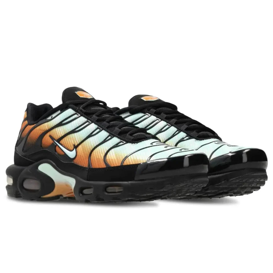Nike TN Air Max Plus 'Monarch Multi'
