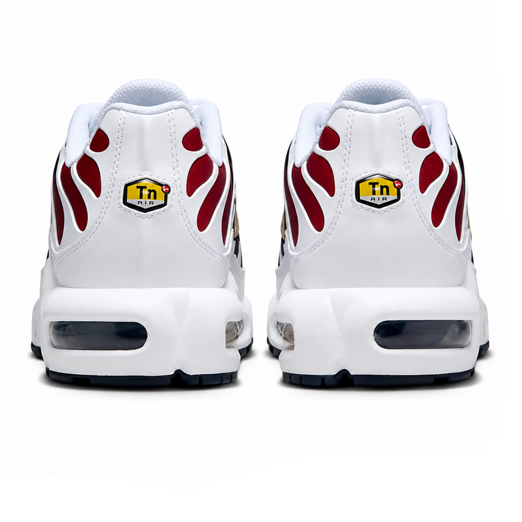 Nike TN Air Max Plus 'PSG'