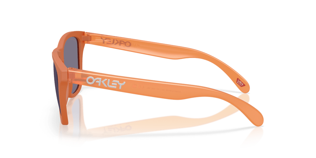 2026 New Arrival OO9013 - Frogskins