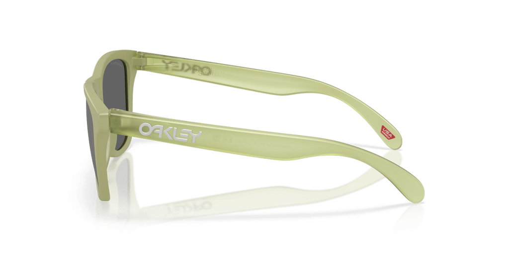 2026 New Arrival OO9013 - Frogskins